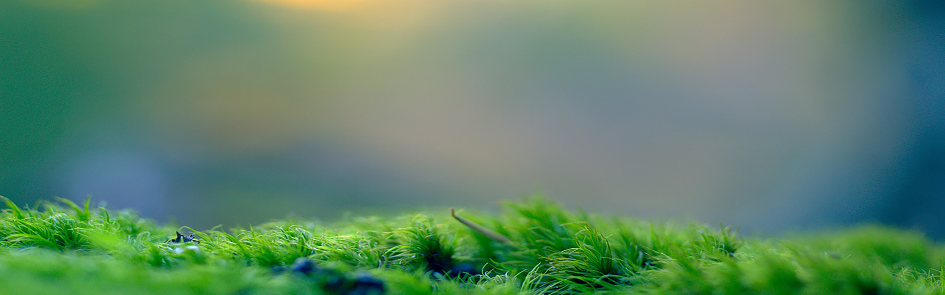 d2e8a7c2e9befb50c34793cbe09fcf0d.jpg